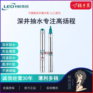 奥冠迪 利欧100QJ6 1.5不锈钢深井泵小体积高扬程深水泵