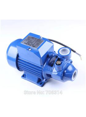 QB60 小型闽东清水泵110V 220V 家用和园林清水漩涡泵 家用泵