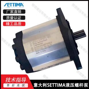 赛特码 90cc液压齿轮泵 油泵SETTIMA螺杆泵GR552V090CCFSAEBAT15
