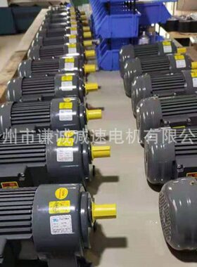 CH18速马达输出轴18mm功率200瓦5比CH18-5-200W齿轮速电机