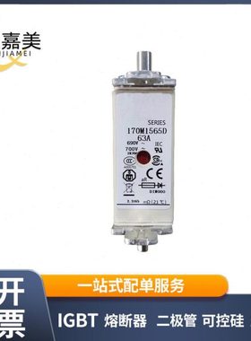 170M1565D 170M1566D 170M1567D 快速熔断器 电子元器件 量大价优