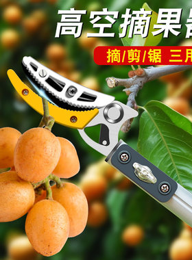 摘黄皮神器修枝剪伸缩高空剪摘果枇杷荔枝黄皮水果专用剪刀高枝剪