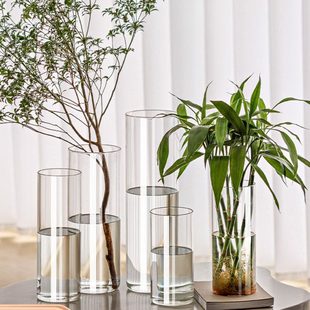 花瓶玻璃透明插花摆件客厅水培水养直筒雪柳马醉木高级感富贵竹大