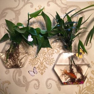 创意六角玻璃花瓶 现代简约墙壁挂花瓶 时尚家居水培插花器小鱼缸