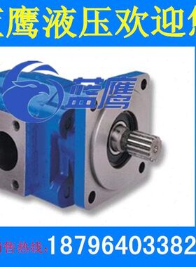 P5100-F63 F80 F100齿轮油泵M5100-F63 F80 F100齿轮马达泊姆克型