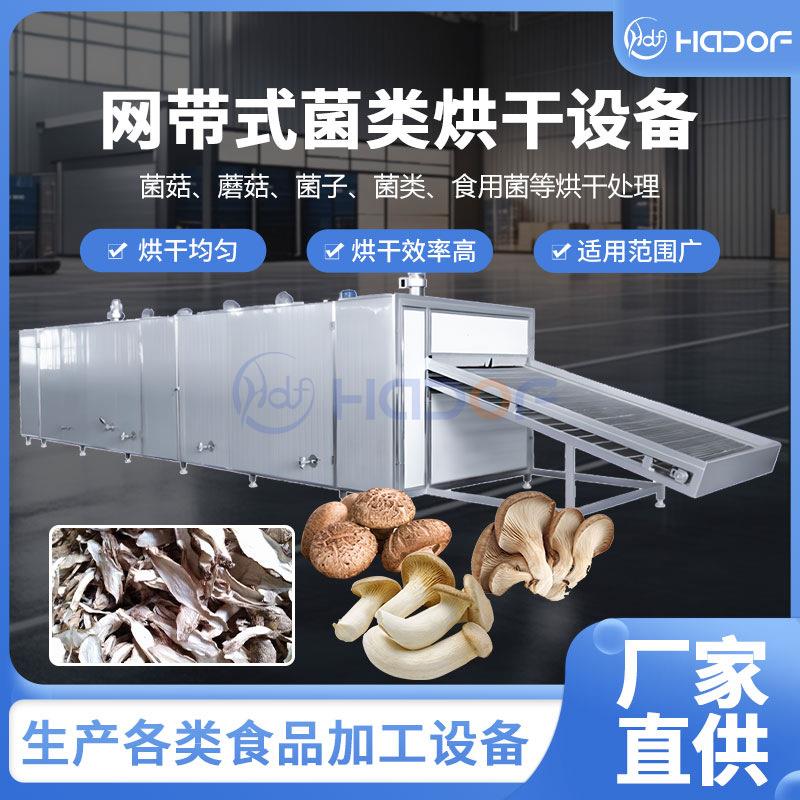不锈钢带式干燥机食用菌多层网带式烘干机节能环保厂家直供
