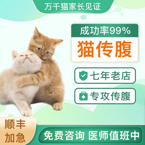 猫咪针剂干性湿性油性水性口服片剂抑制剂营养液