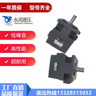 仙居先顶 YLC仙居永灵叶片泵 YB-D31.5 YB-D40 YB-D50 机床油泵