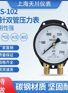 双针双管压力表YZS-102上海天川仪表厂汽修专用火车铁轨路徽标志