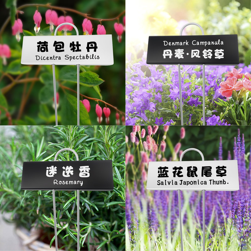 植物金属标签标牌花名牌定制园艺A标识牌网红庭院装饰插牌防水印