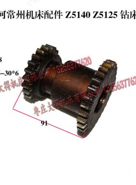 常州大河立钻 Z5140Z5125 Z5125A齿轮121101 Z22/28 M3 6-30 L91
