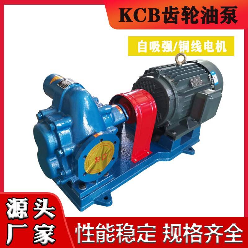 高温油泵KCB-300齿轮泵重油燃油润滑油输送油泵铸铁耐磨自吸泵