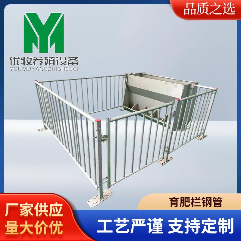 养殖围栏养猪围栏网猪用育肥猪笼育肥栏钢管大猪养猪围栏现货