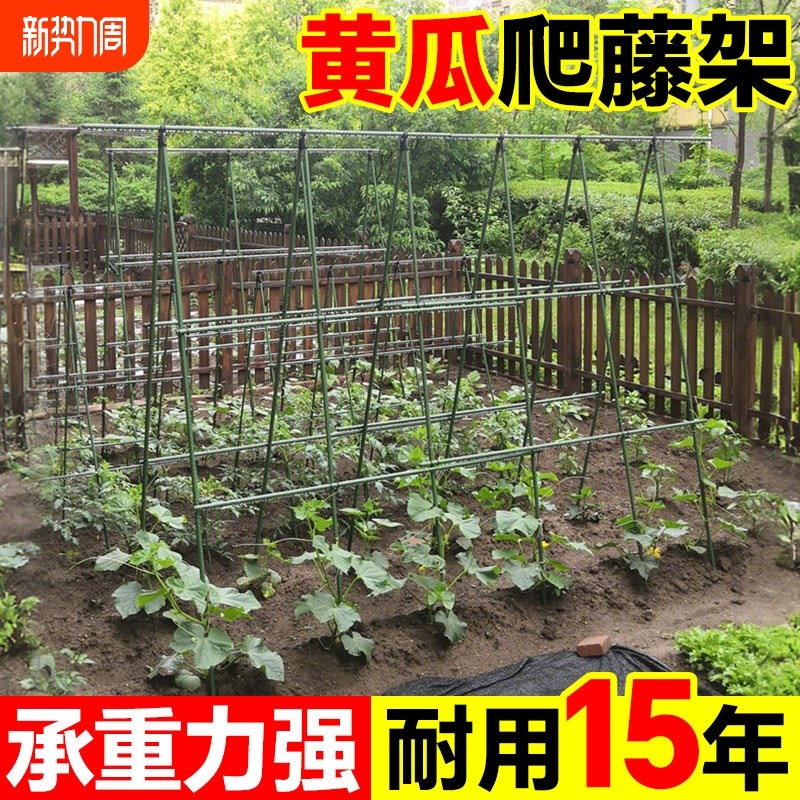 爬藤架花架豆角架黄m瓜架子种菜架庭院植物攀爬架户外园艺葡萄架
