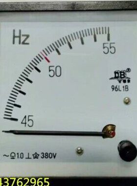 DB德表 交流频率表 96L1B-45-55HZ 380V 220V  100V 广东德庆电表