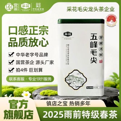 2025新茶采花毛尖五峰茶叶特级明前春茶罐装自己喝绿茶250g