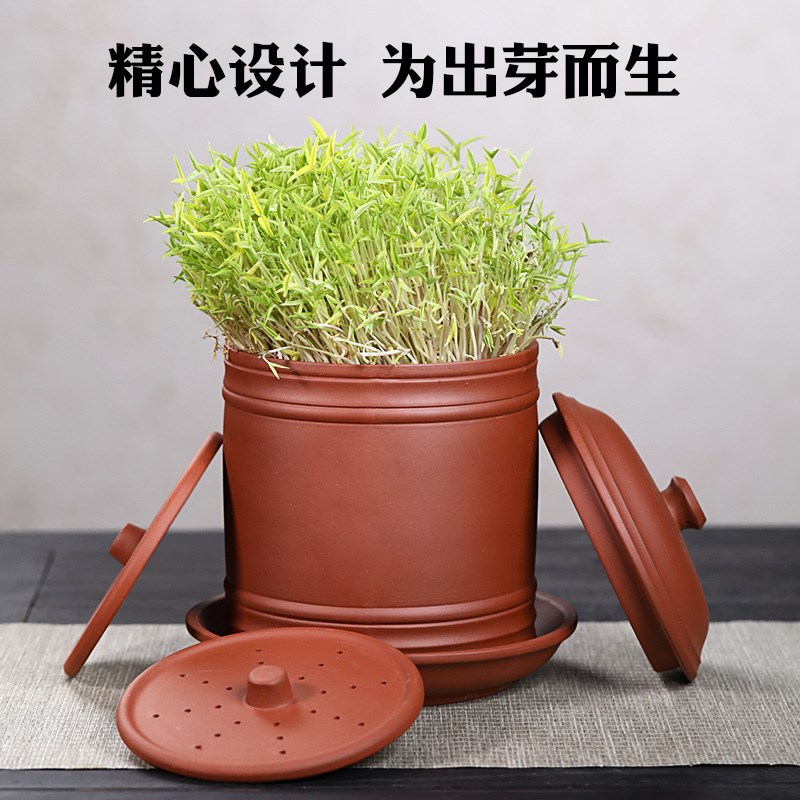 蔬菜罐育苗盆种植发芽盆紫砂豆芽机发豆芽专用盆神器黑黄绿豆芽罐