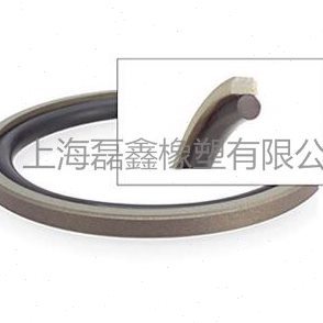 STD格来圈GSF660*635.5*8.1(O型圈在内) 活塞组合油封PG孔用