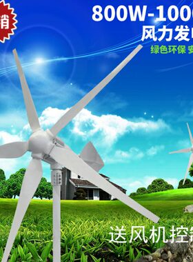 白色800W小型风力发电机家用微风12V24V48V风能五叶微风启动900瓦