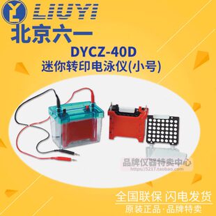 北京六一迷你转印电泳仪DYCZ 4040 40D产品编号121