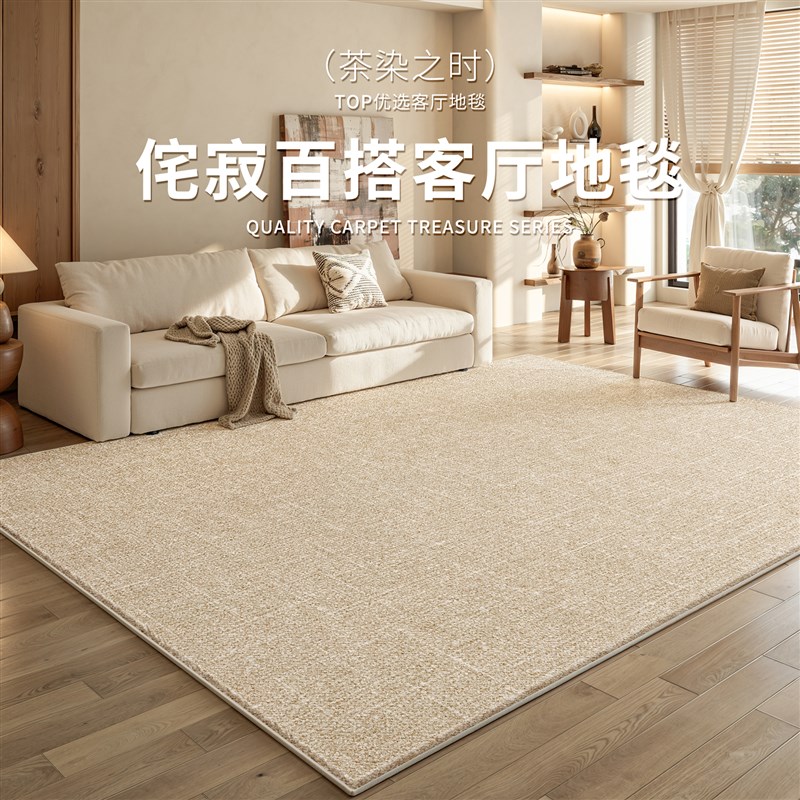 地毯客厅2025新款纯色t侘寂风免打理地垫家用沙发卧室床边免洗可