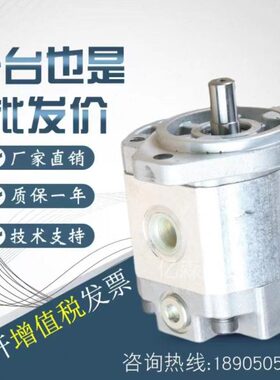 凯斯帕CASAPPA齿轮泵PLP10.5SD-29E7/PLP20.4D0-82E2 油泵