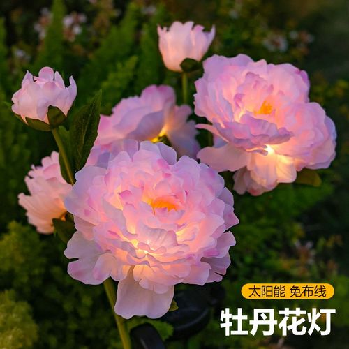 太阳能牡丹花灯庭院户外防水别墅花园阳台装饰P插地景观氛围草坪