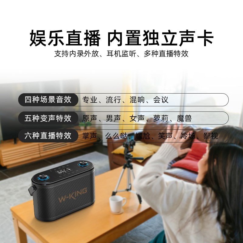 维尔晶H10II便携K歌蓝牙音响家庭户外唱歌消原音三分频重低音炮