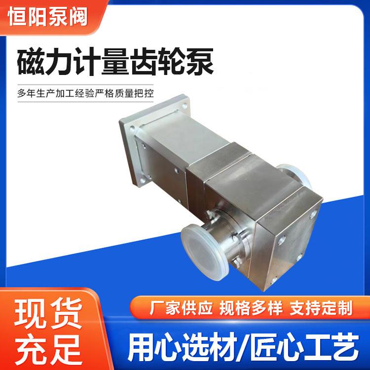 不锈钢304磁力计量齿轮泵微型齿轮泵灌装齿轮泵磁力齿轮泵