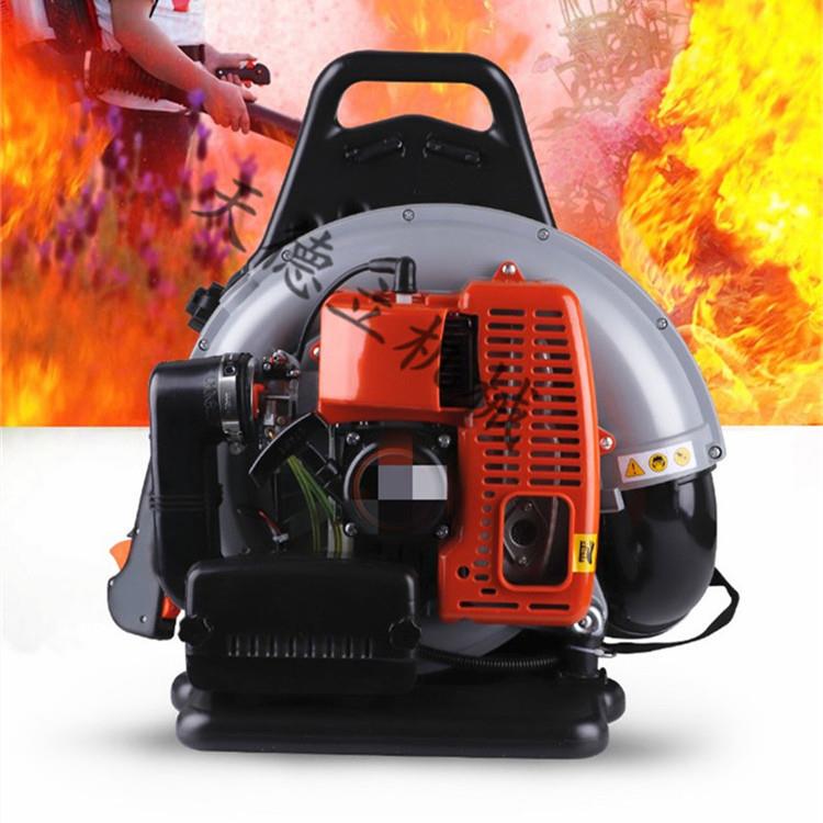 EB865型路面清扫机 施工除尘器 天德立2.8KW背式吹风机 厂家