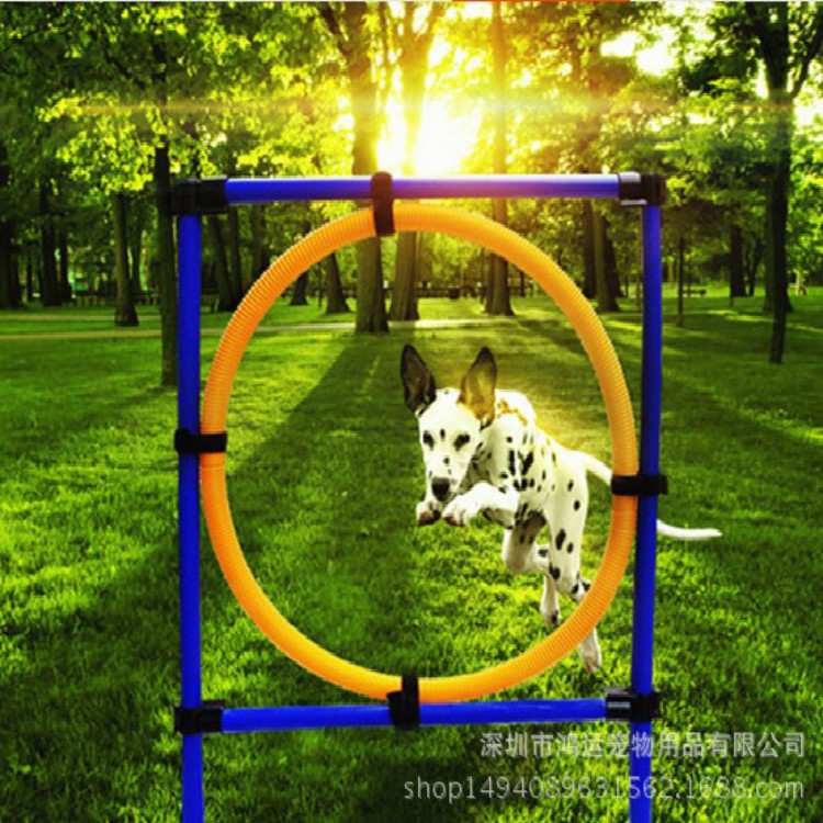 宠物狗狗跳圈 狗狗跳环跳圈 训练灵敏度跳杆 狗狗户外运动器材