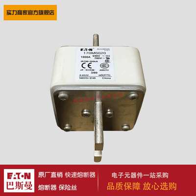 熔断器170M6021 170M3058 170M3059 170M3060 170M3061 170M3062