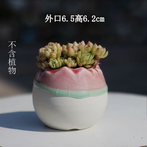 小号多肉约裂花盆光爱简冰拇指粗陶喜可盆陶瓷透气地面