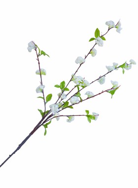 仿真雪柳枝假花仿真厅客花装饰花摆件餐厅花艺样轻房板奢摆设道具