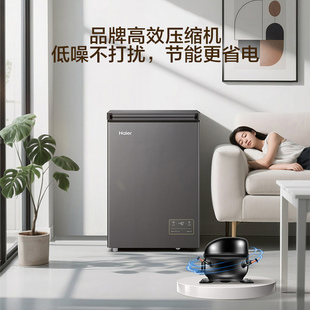 海尔变频冰柜家用零下40度超低温100/200升小型大容量海鲜冷冻柜