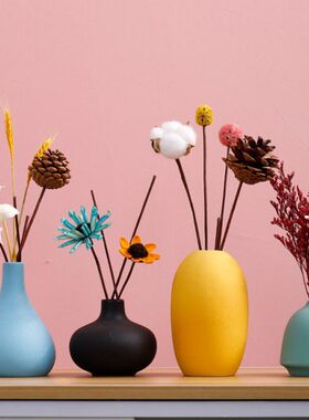 北欧风陶瓷小号花瓶桌面电视柜客厅插花干花摆件慢生活家居装饰品
