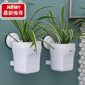 壁挂式 花盆免钉挂墙花盆水培器皿壁挂挂墙花盆99免钉绿萝水培挂墙