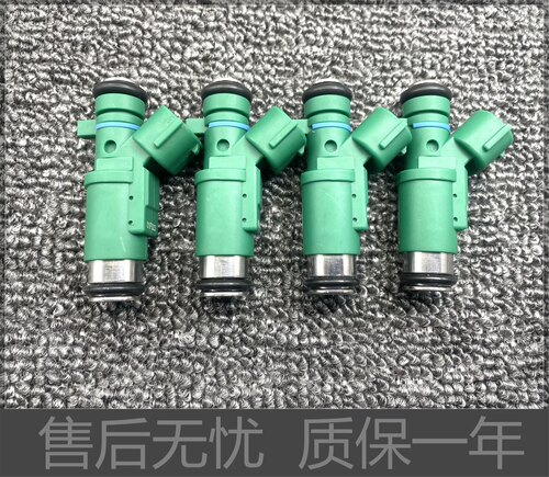 207雪铁标致龙标致喷油嘴擎天盾