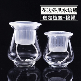 透明水培玻璃冬瓜花瓶圆球瓶送定植篮F风信子绿萝水培植物敞口花