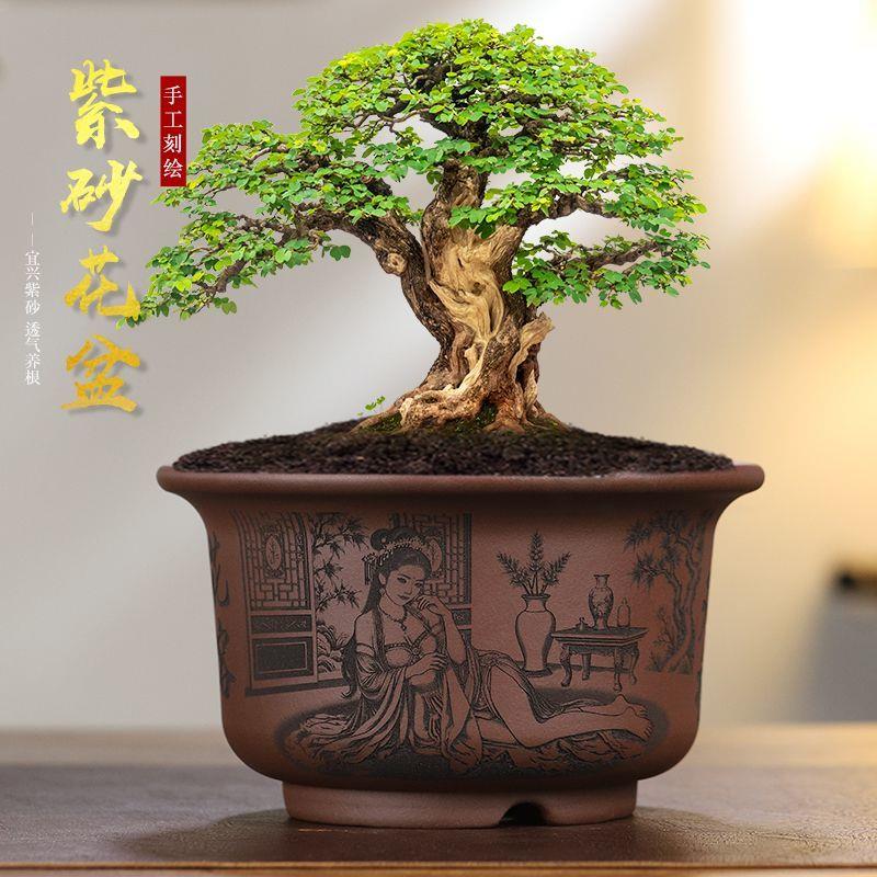 宜兴紫砂花盆陶瓷大口径