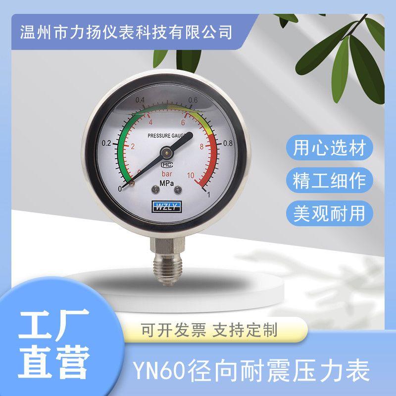 YN60耐震压力表高精度液