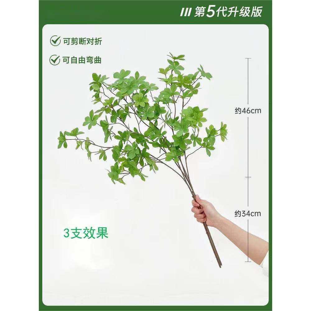 马醉木仿真绿植日本多瓣