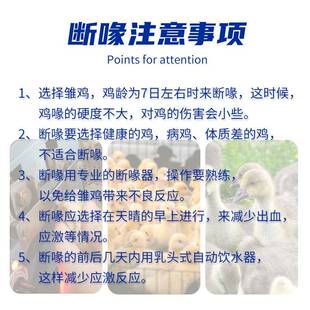 小鸡用全自动切嘴机断喙EFD器鸡切嘴送嘴机断嘴器养鸡设备用品刀