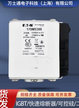 全新熔断器现货170M5388/5389/5390/5391/5392/5393