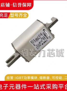 170M3065 170M3066 170M3067 170M3068 170M3069 170M3070熔断器