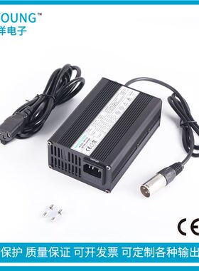 43.8V2.5A充电器可充PATGEAR电动滑板车E3,E5 36V8Ah磷酸铁锂电池