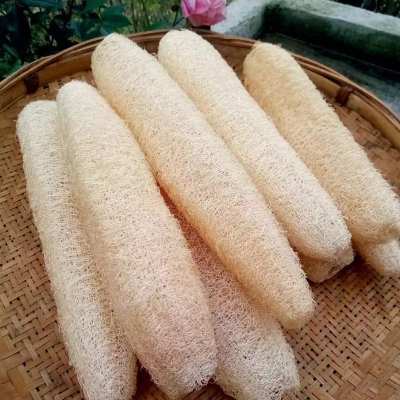天然农家老丝瓜丝瓜络筋不粘油刷锅洗碗沐浴搓澡丝瓜瓤组合装包邮