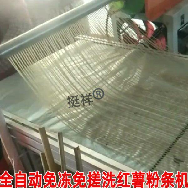 全自动免冻免搓洗红薯粉条机家用粉条机