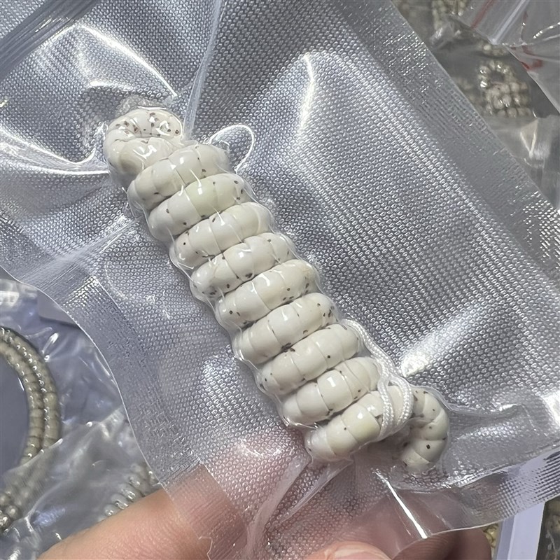 海南原生态无脱脂星n月菩提大肠款大留白高瓷藏式斜切扇面大肠星