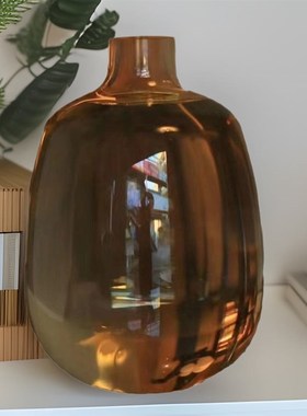 新款镜泊花瓶水养l马醉木龟背竹南天竹鲜切支条鲜花插花器室内摆